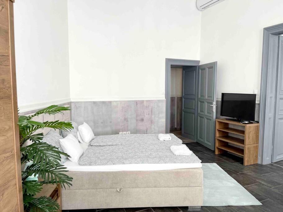 D3 Basilica Luxury Spacious Free Parking For 1 Car 布达佩斯 外观 照片