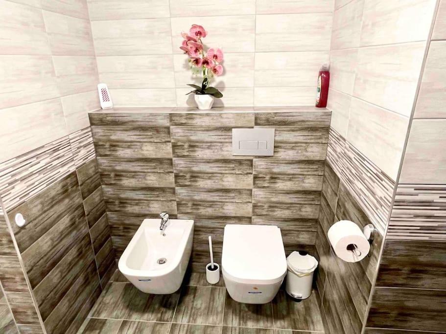 D3 Basilica Luxury Spacious Free Parking For 1 Car 布达佩斯 外观 照片