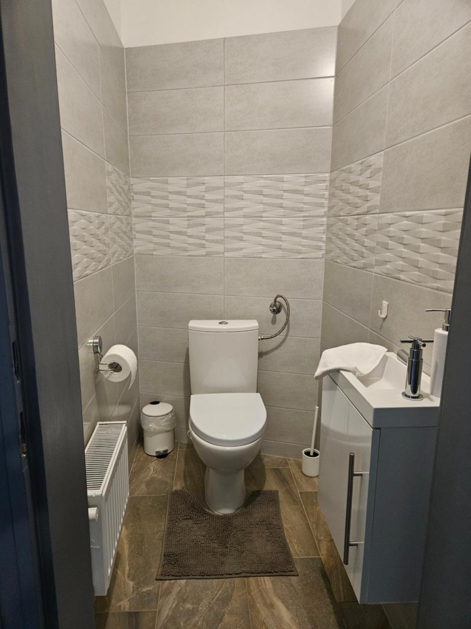 D3 Basilica Luxury Spacious Free Parking For 1 Car 布达佩斯 外观 照片