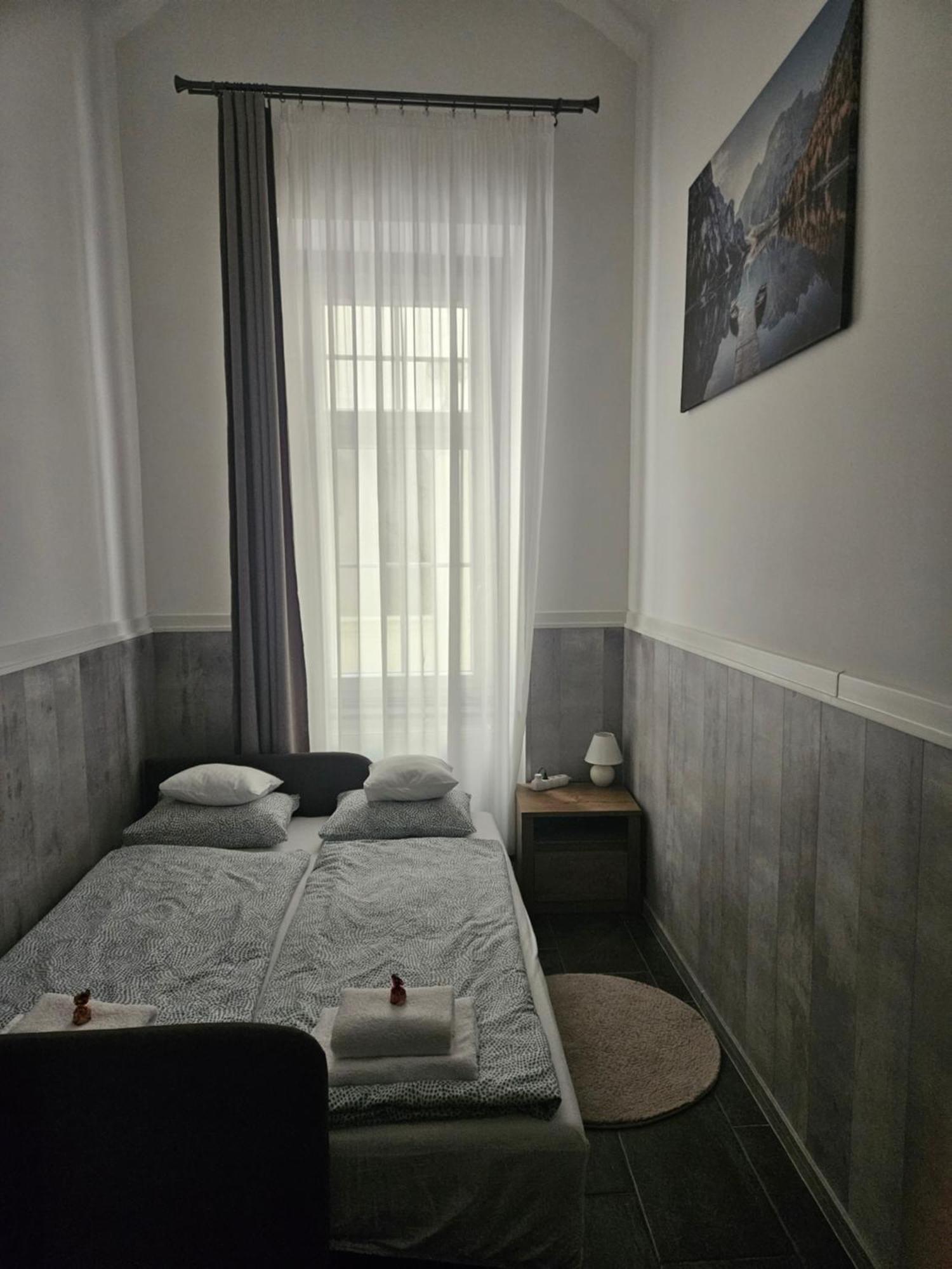 D3 Basilica Luxury Spacious Free Parking For 1 Car 布达佩斯 外观 照片